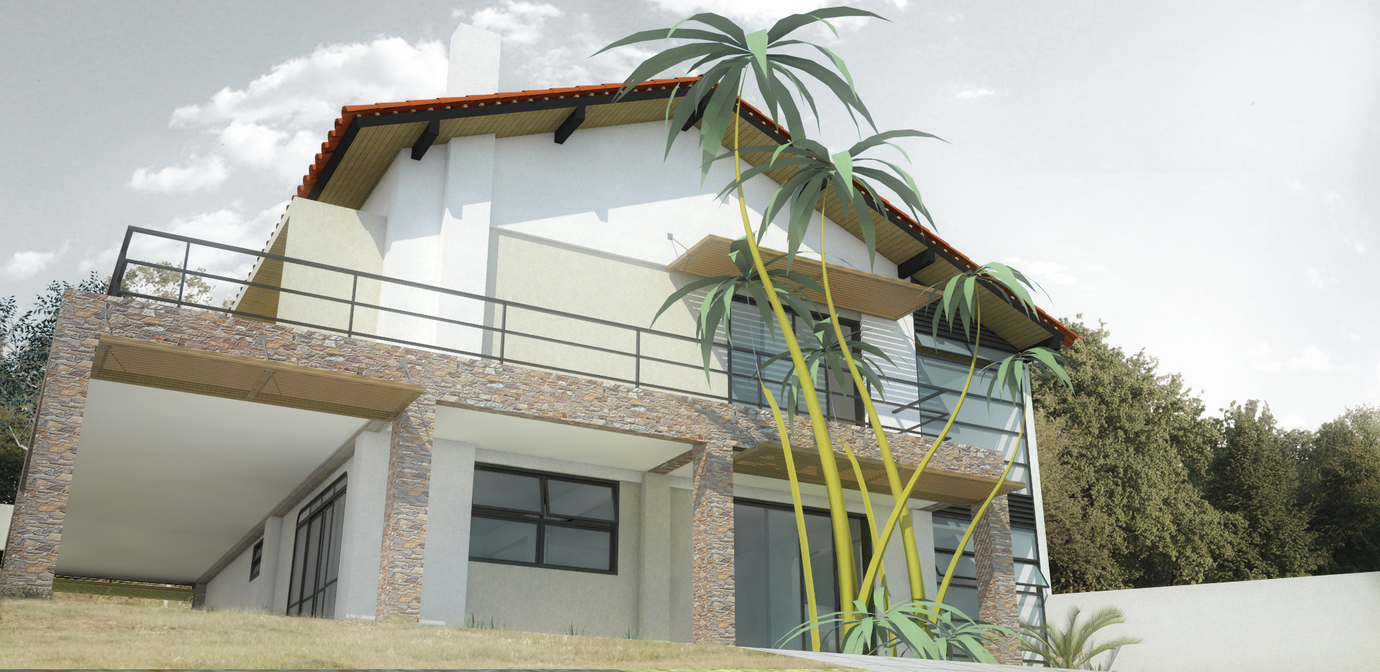 Perspectiva Frontal