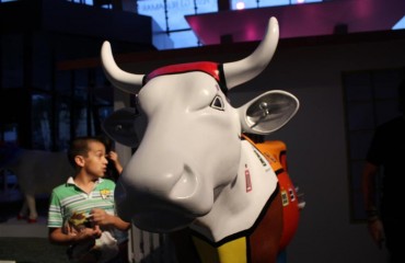 cow-dominio-nimbu-2011-14